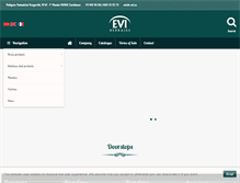 Tablet Screenshot of h-evi.com